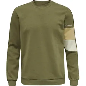 Sweatshirt Hummel hmlaidan image-0