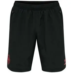 Short Danemark travel