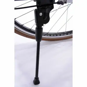 Electric bike Minerva CM Alivio 53 image-1