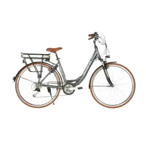 Bicicleta eléctrica Minerva CM Alivio 49 image-0