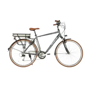 Electric bike Minerva CM Alivio 53 image-0