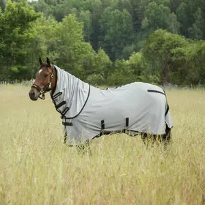 Manta equitación antimoscas con cuello Back on Track buzter image-3