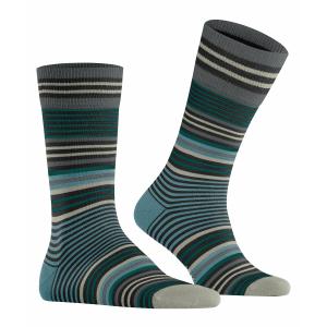 Sokker Burlington Stripe image-1