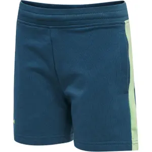 Pantalones cortos para niños Hummel hmlaction image-2