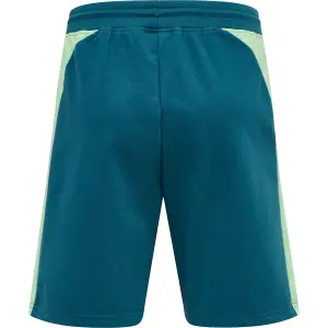 Pantalones cortos para niños Hummel hmlaction image-1