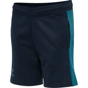 Pantalones cortos para niños Hummel hmlaction image-2