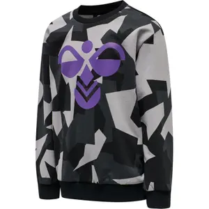 Sweatshirt child Hummel hmlSKYHOOK image-1