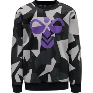 Sweatshirt child Hummel hmlSKYHOOK image-0