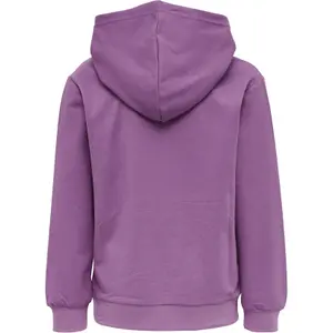 Sudadera con capucha para niños Hummel hmlmono image-1