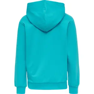 Sudadera con capucha para niños Hummel hmlmono image-1