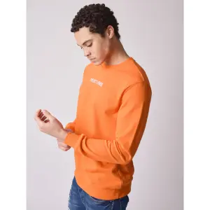 Basic Sweatshirt mit Logostickerei Project X Paris image-2
