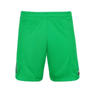 Shorts für Kinder – AS Saint-Étienne 2021/22 Heim image-0