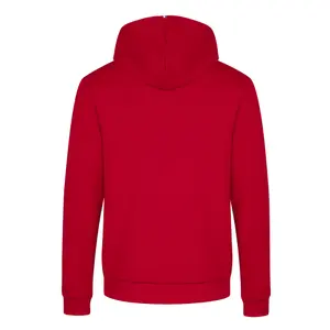Huvtröjor Le Coq Sportif saison 2 image-3