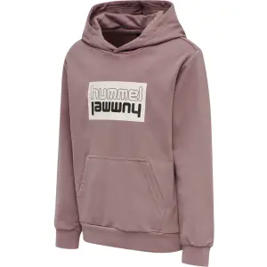 Kinder sweatshirt met capuchon Hummel hmlDUO image-1