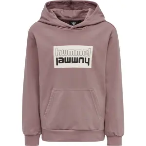 Kinder sweatshirt met capuchon Hummel hmlDUO image-0