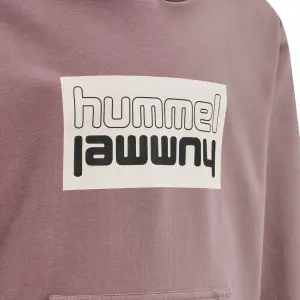 Kinder sweatshirt met capuchon Hummel hmlDUO image-3