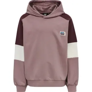 Sudadera con capucha para niños Hummel hmlmynthe image-0