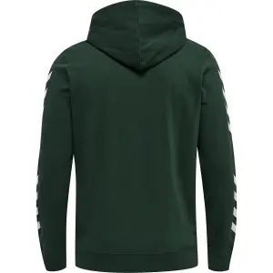 Sudadera con capucha Hummel hmlLegacy image-1