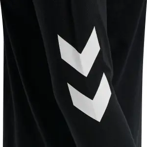 Camiseta mangas largas Hummel hmlLEGACY image-4