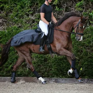 Kort vattentätt skydd för njuren Back on Track image-1