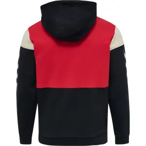 Felpa con cappuccio Hummel hmlwilliam blocked image-2