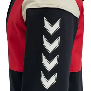 Felpa con cappuccio Hummel hmlwilliam blocked image-4