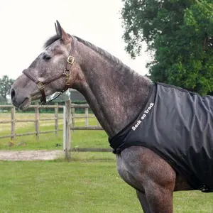 Walker blanket Back on Track image-2