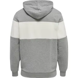 Hooded sweatshirt Hummel hmlLGC musa image-1