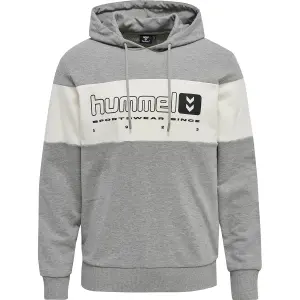 Hooded sweatshirt Hummel hmlLGC musa image-0