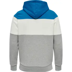 Sweatshirt mit Kapuze Hummel hmlLGC musa image-2