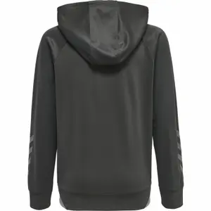 Sudadera con capucha para niños Hummel hmlGG12 Action image-1