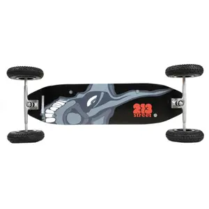 Board 213 Moutain Skull truck 8 image-0