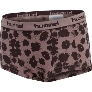 Set of 2 girl's underpants Hummel hmlcarolina image-1