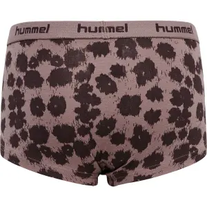 Set of 2 girl's underpants Hummel hmlcarolina image-3