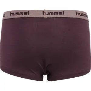 Set of 2 girl's underpants Hummel hmlcarolina image-4