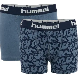 Set of 2 boys' boxers Hummel hmlnolan image-0