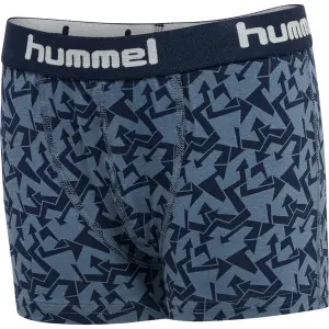Set of 2 boys' boxers Hummel hmlnolan image-1
