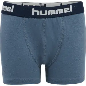 Set of 2 boys' boxers Hummel hmlnolan image-6
