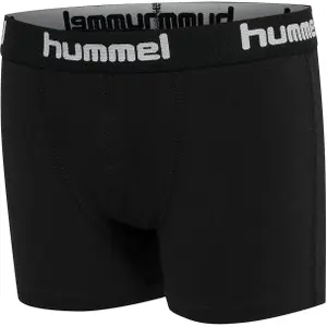 Boxershorts för barn Hummel hmlNOLAN (x2) image-3