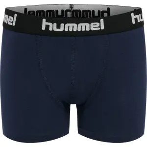 Boxershorts för barn Hummel hmlNOLAN (x2) image-1