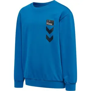 Sweatshirt child Hummel HmdlWimb image-0