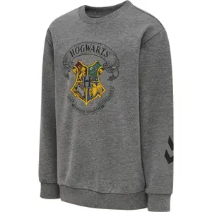 Chándal para niños Hummel Harry Potter Spring image-2