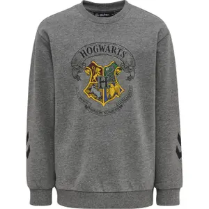 Chándal para niños Hummel Harry Potter Spring image-1