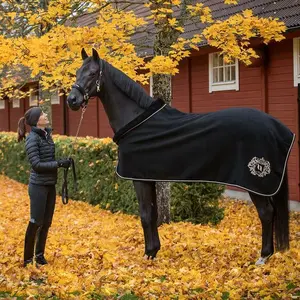 Wolldecke Back on Track edward image-2