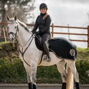 Nierenschutz aus Wolle Back on Track William image-3