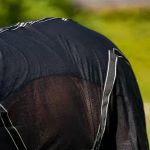 Rug Back on Track sienna image-4