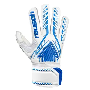 Kinder keepershandschoenen Reusch Arrow SG Extra image-0