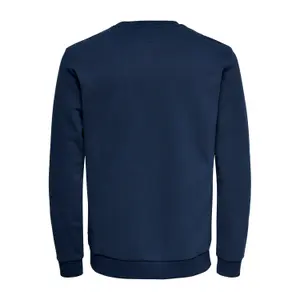 Sweatshirt Only & Sons Onsceres Life image-4