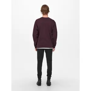 Sweatshirt Only & Sons Onsceres Life image-4