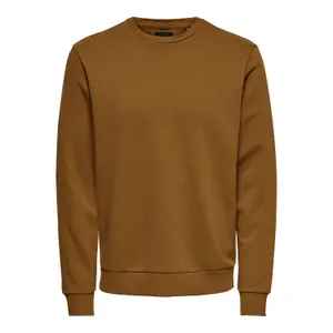 Sweatshirt Only & Sons Onsceres Life image-0